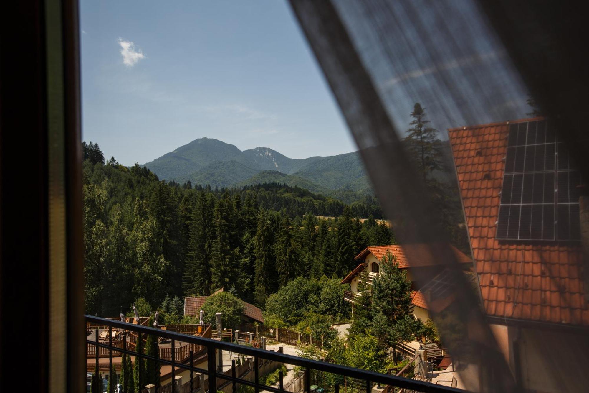 Charming Villa In A Private Mountain Resort Брашов Екстер'єр фото